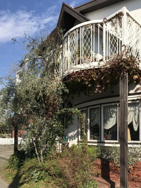 IVY House 隠れ家 鵠沼海岸駅