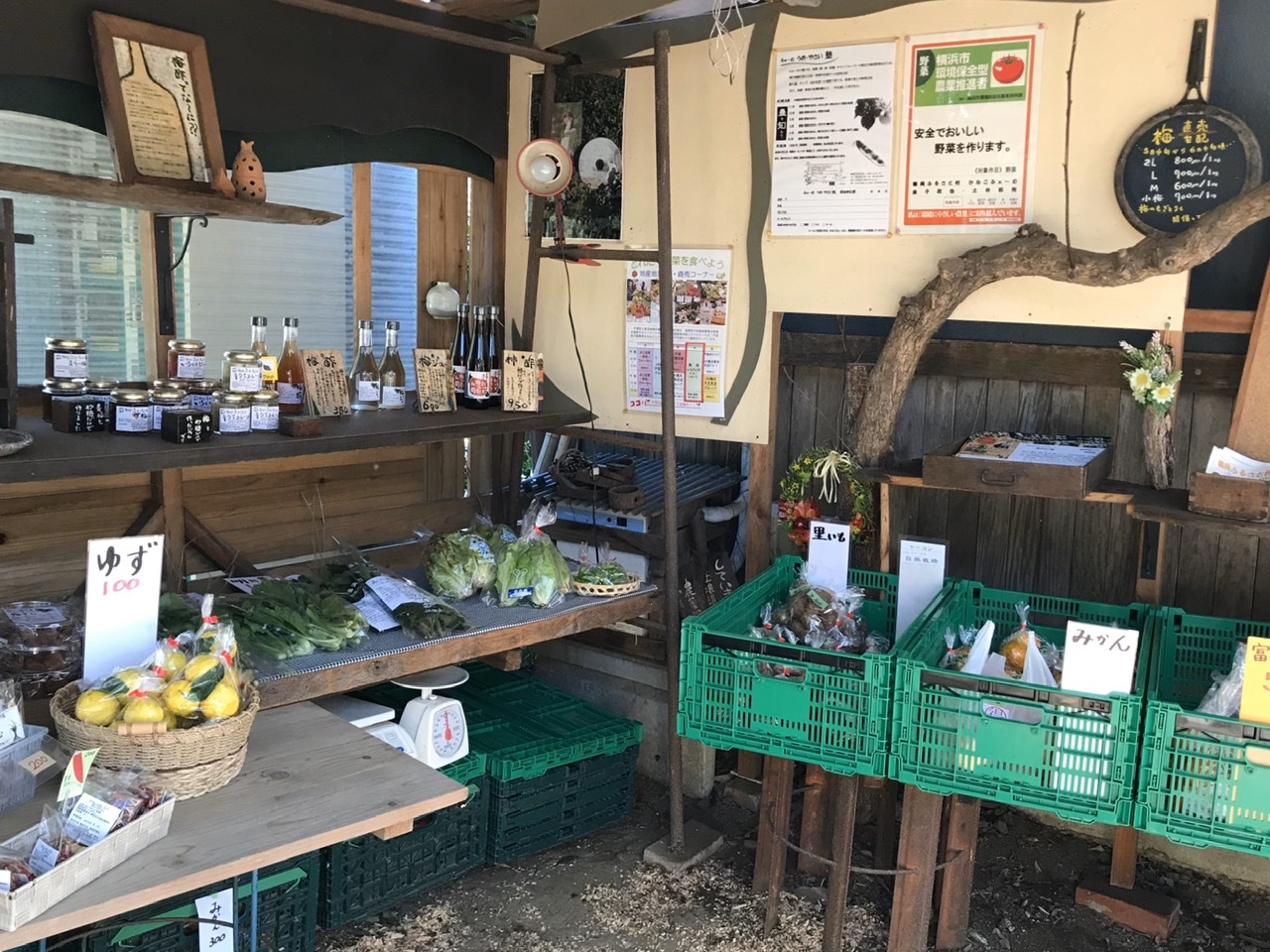 かねこふぁ〜む