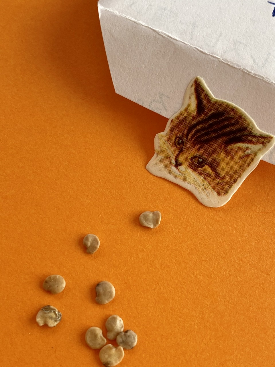 DAD83768-F769-44DF-BF6A-2B6EDDC4E359